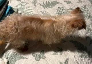 Tika thumbnail 2