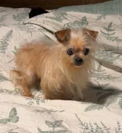 Tika thumbnail 3