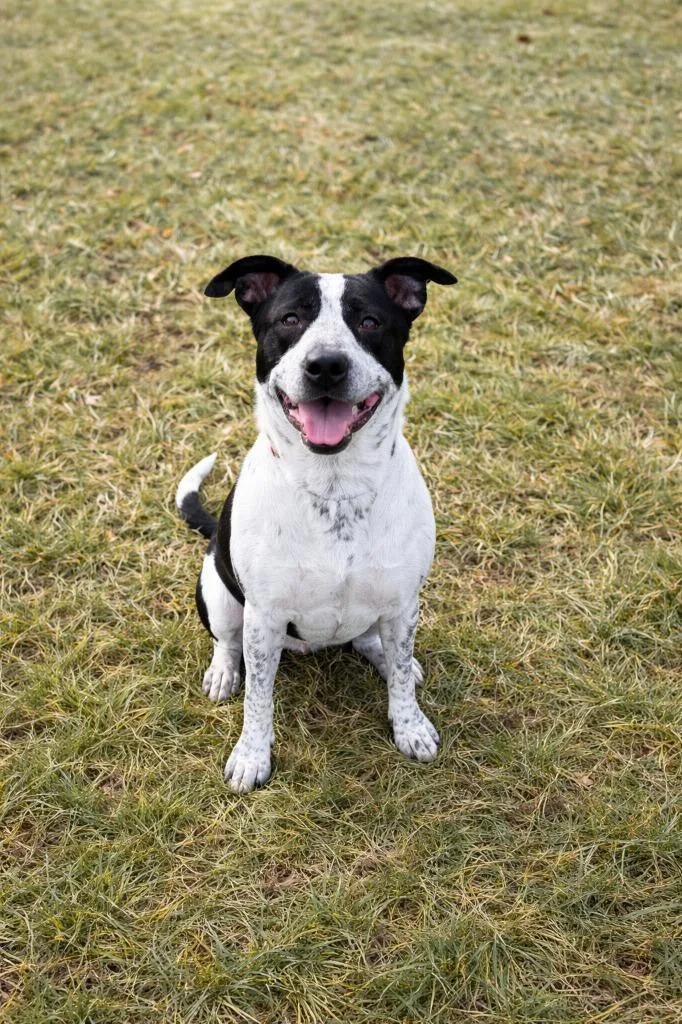 Prudence thumbnail 3