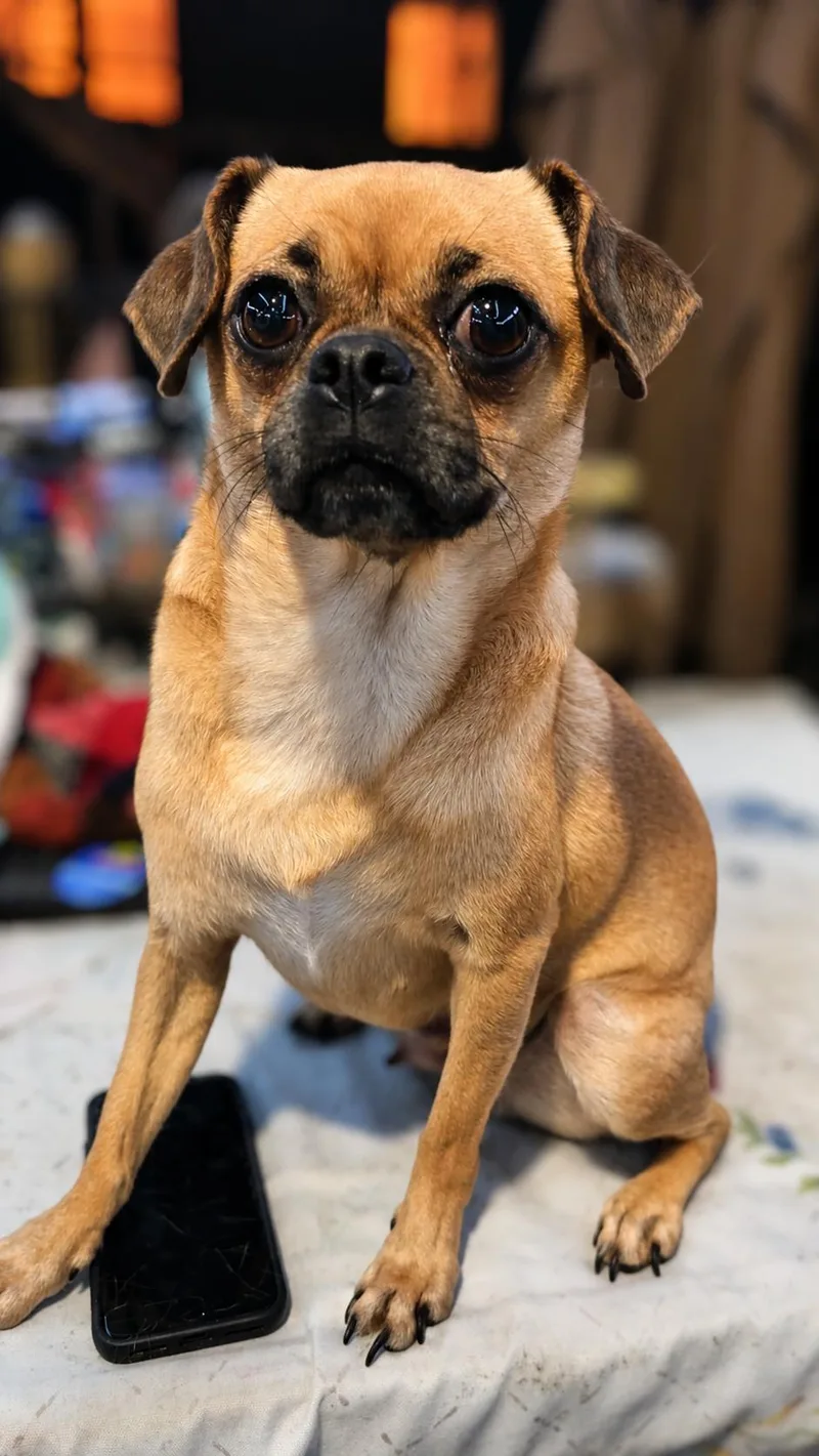 Nala thumbnail 2