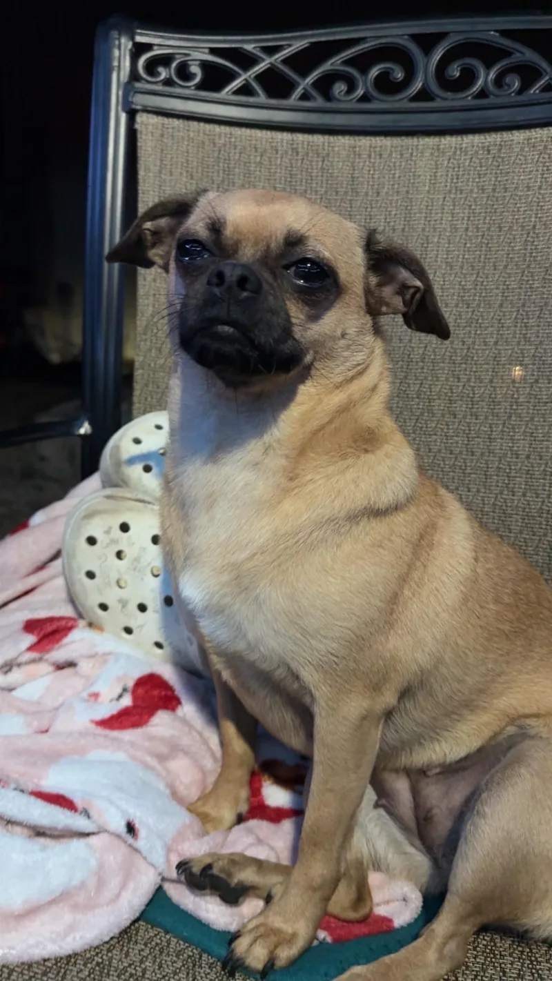 Nala thumbnail 4