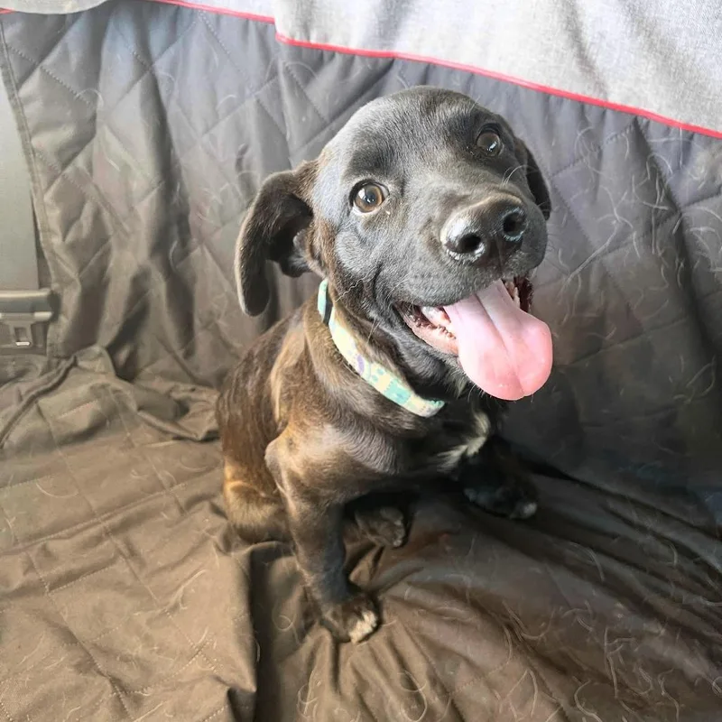 Bruce Waynejaa'abani thumbnail 2