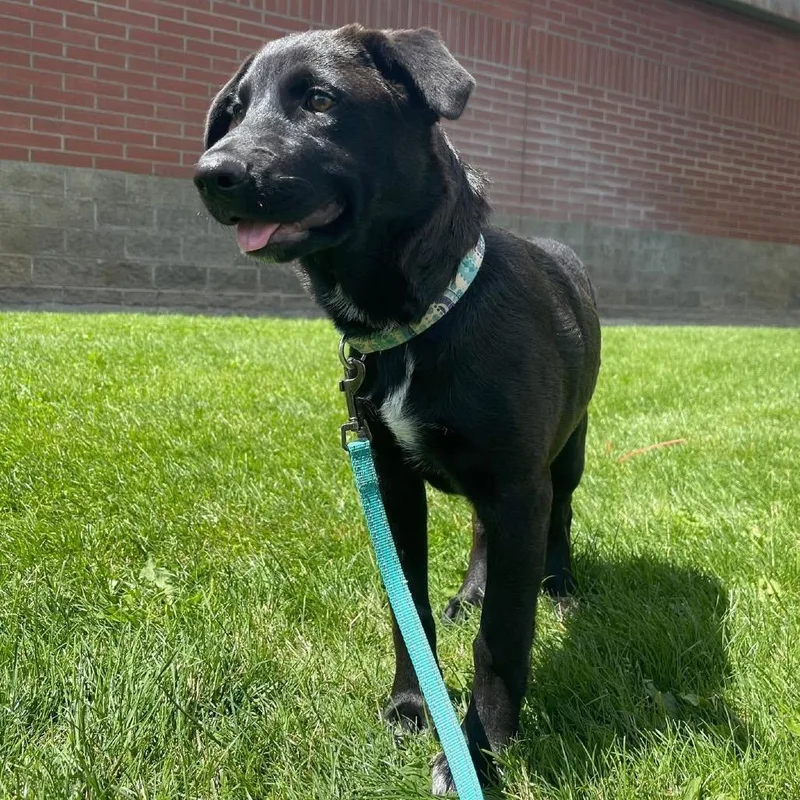 Bruce Waynejaa'abani thumbnail 6