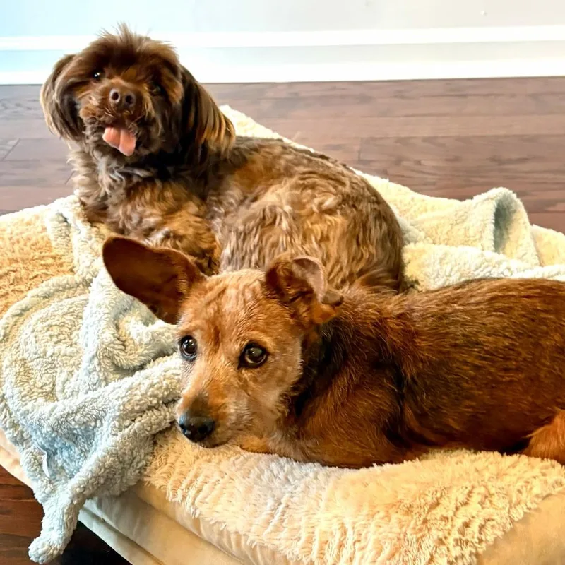 Myrtle Mae thumbnail 2