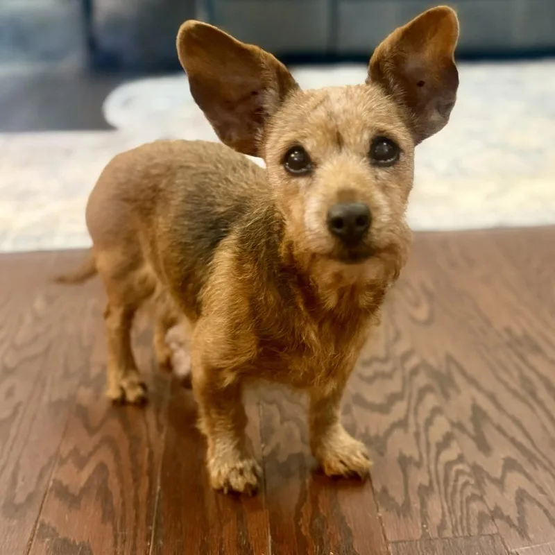 Myrtle Mae thumbnail 3