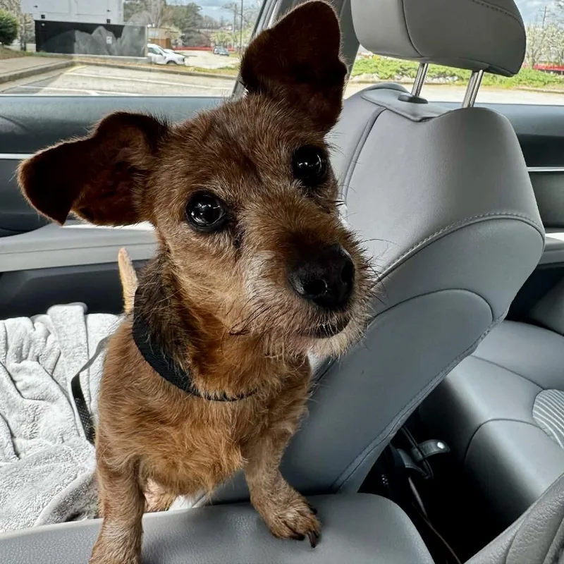 Myrtle Mae thumbnail 4