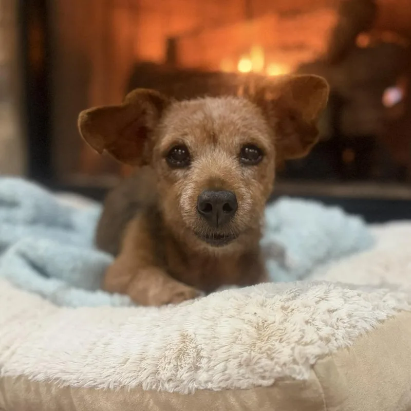 Myrtle Mae thumbnail 5