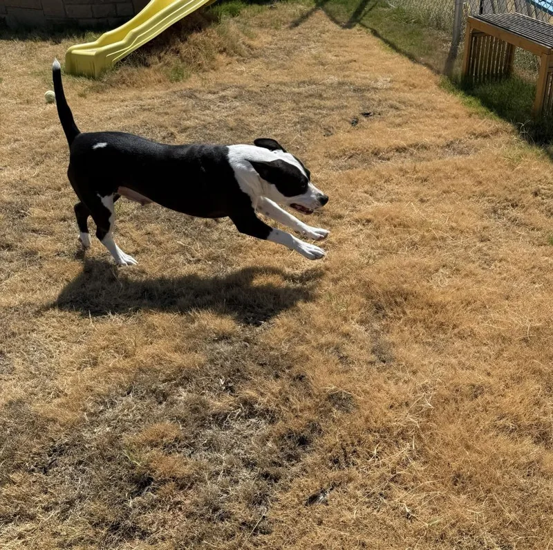 Chloe thumbnail 5