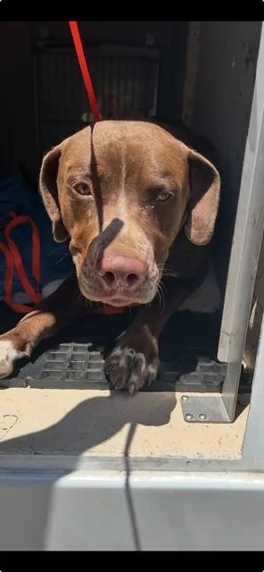 Charlie