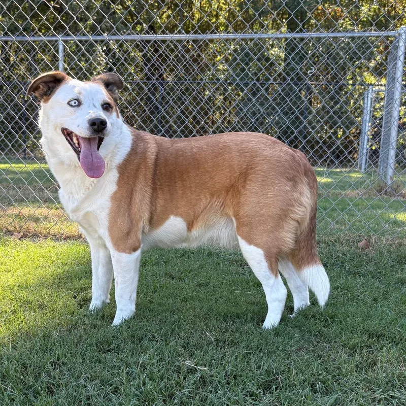 Sadie thumbnail 2