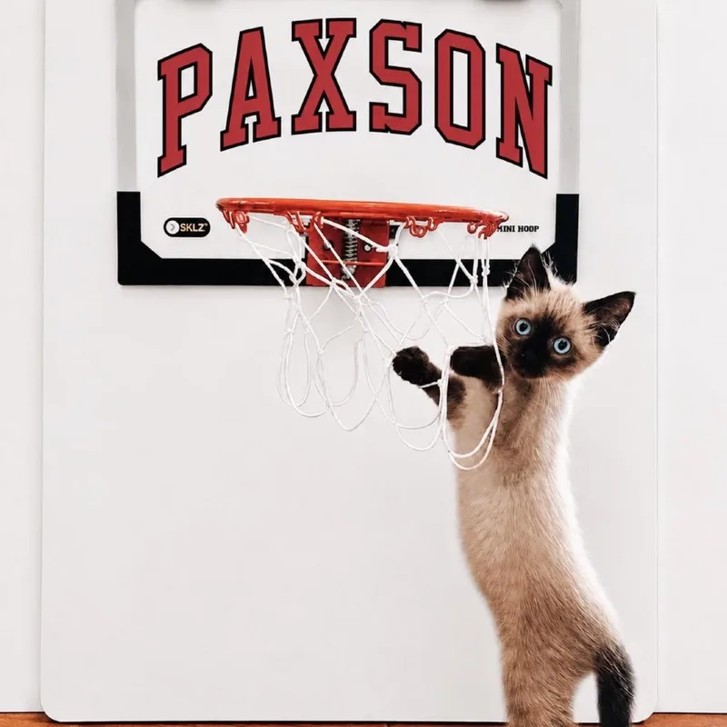 Paxson thumbnail 3