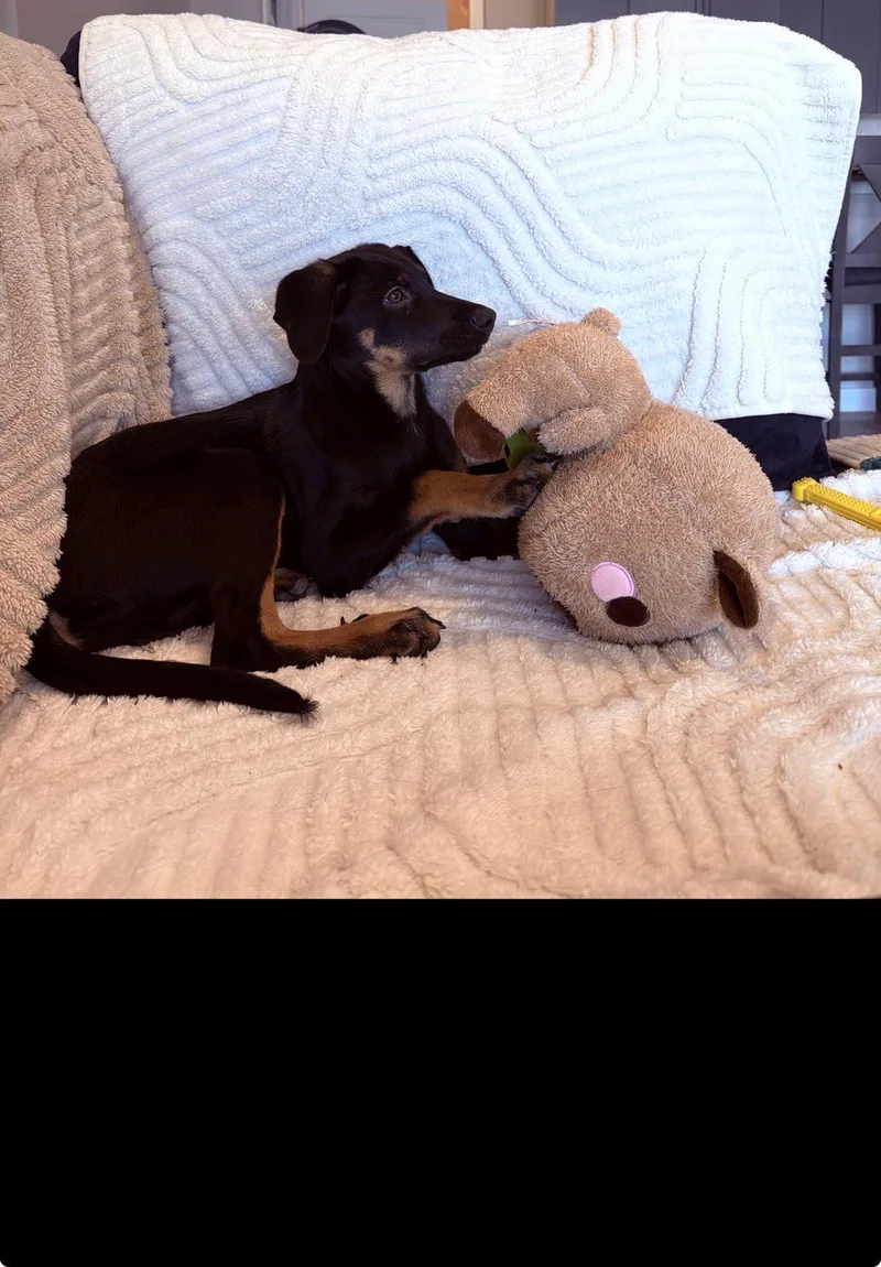 Lainey thumbnail 3