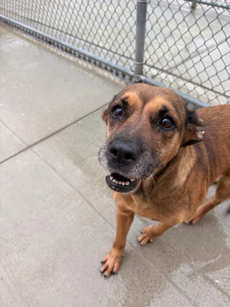 Bridgett thumbnail 2