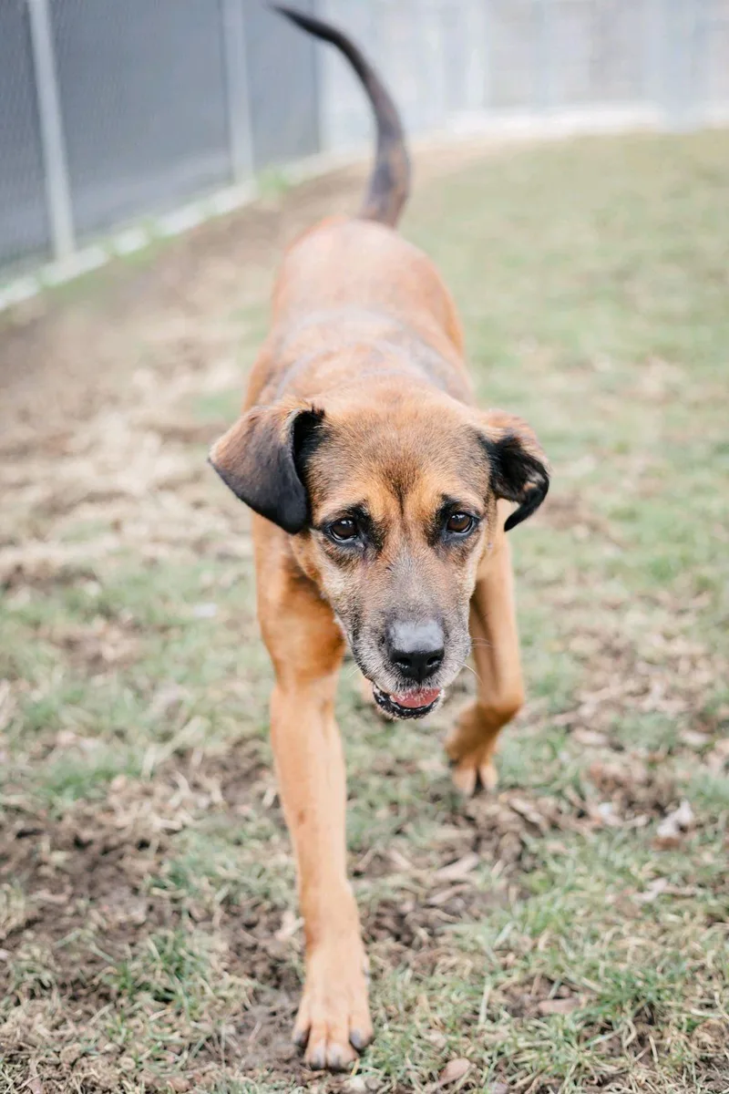 Bridgett thumbnail 3