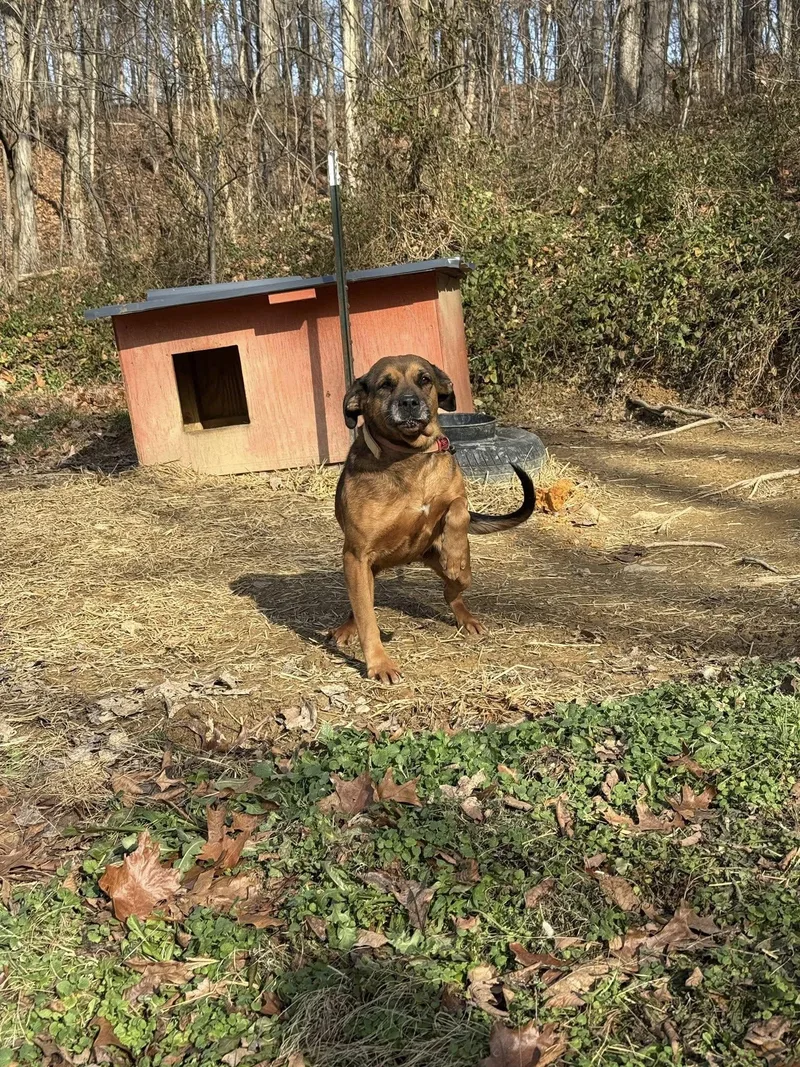 Bridgett thumbnail 4