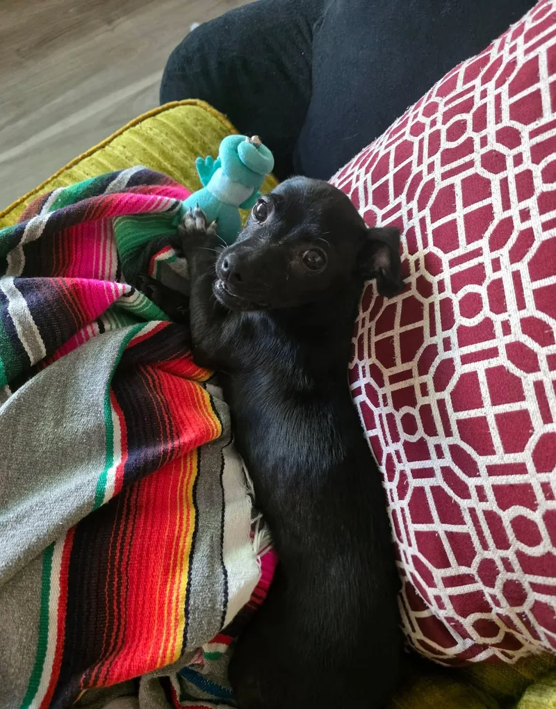 Lightning thumbnail 2