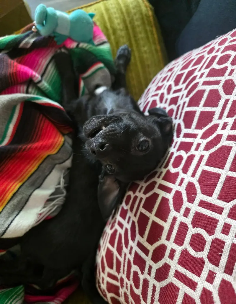 Lightning thumbnail 3