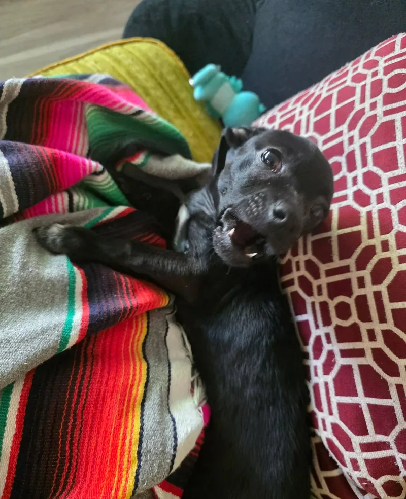 Lightning thumbnail 4