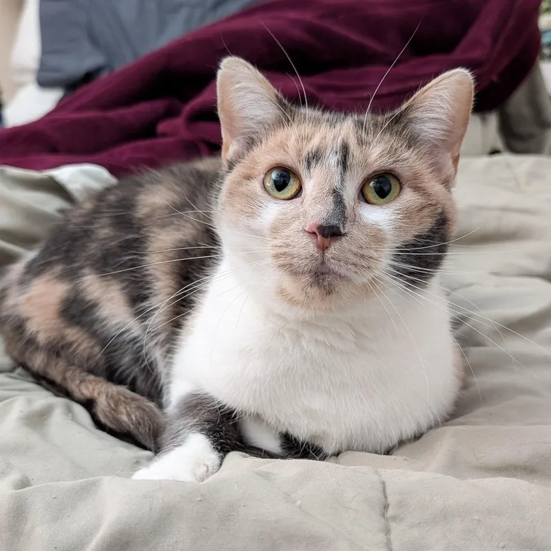 Sugar Mama thumbnail 2