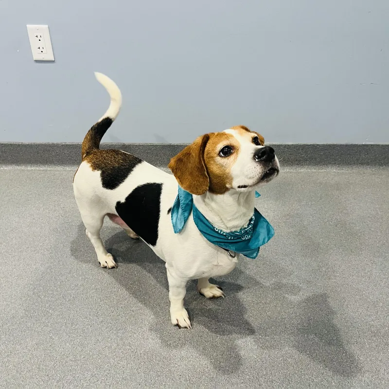 Kissimmee thumbnail 2