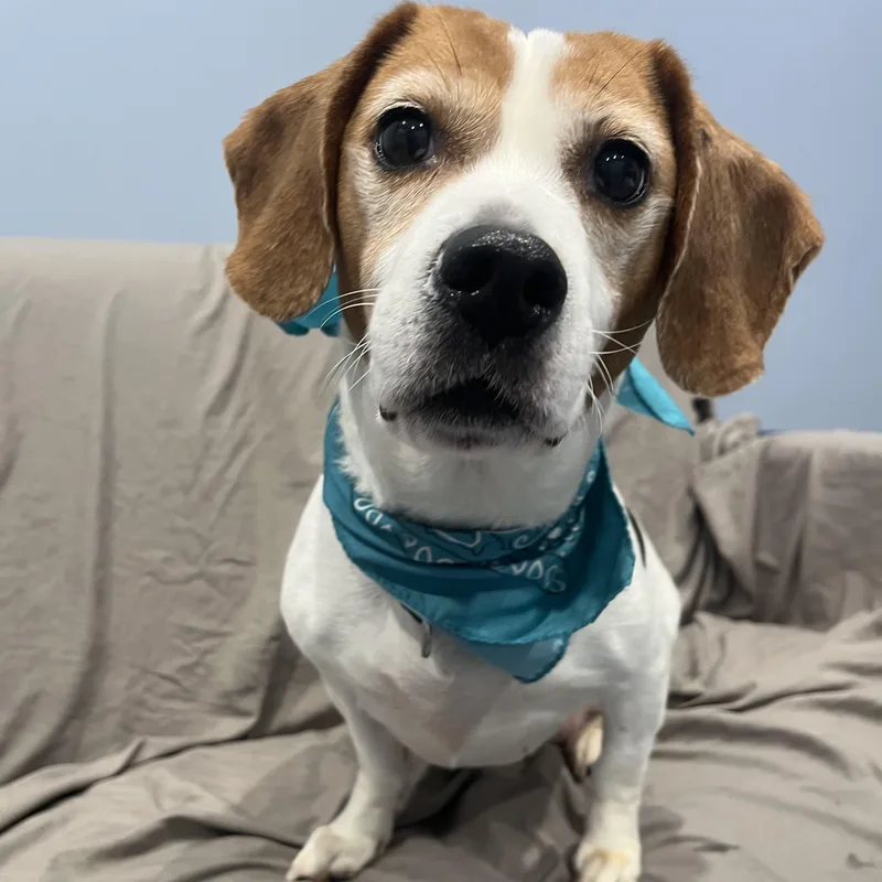 Kissimmee thumbnail 3