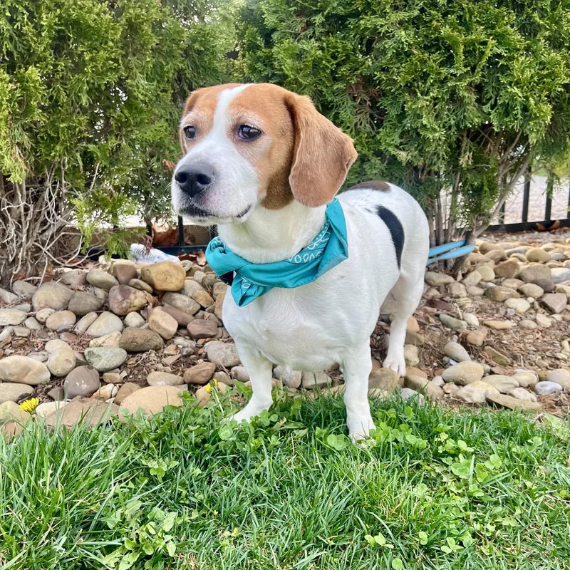 Kissimmee thumbnail 4