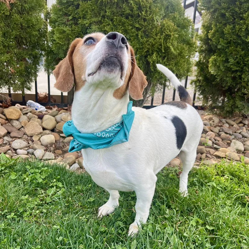 Kissimmee thumbnail 5