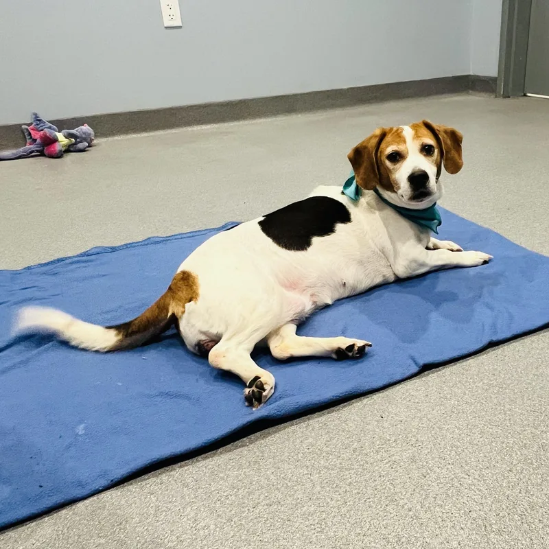 Kissimmee thumbnail 6