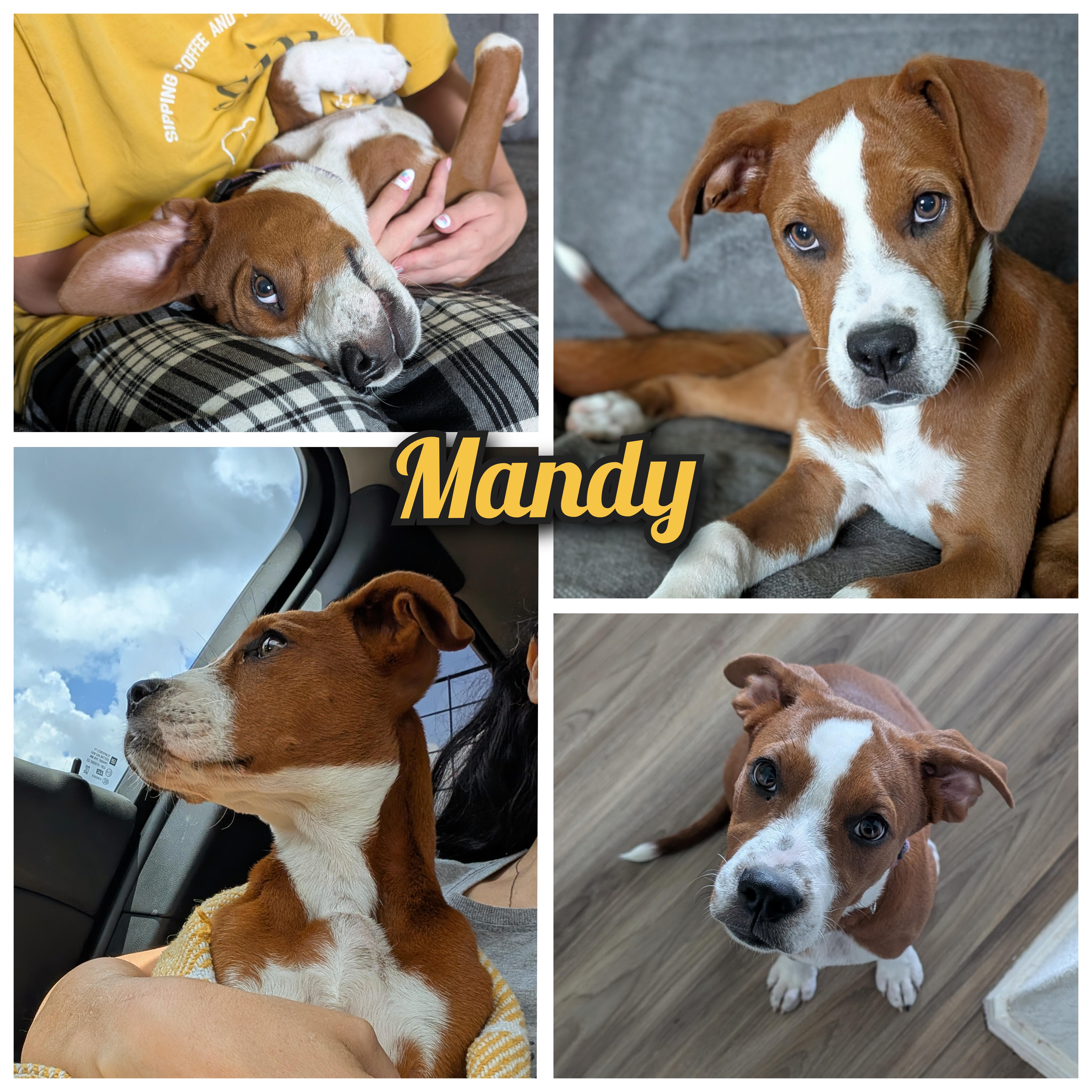 Mandy thumbnail 5