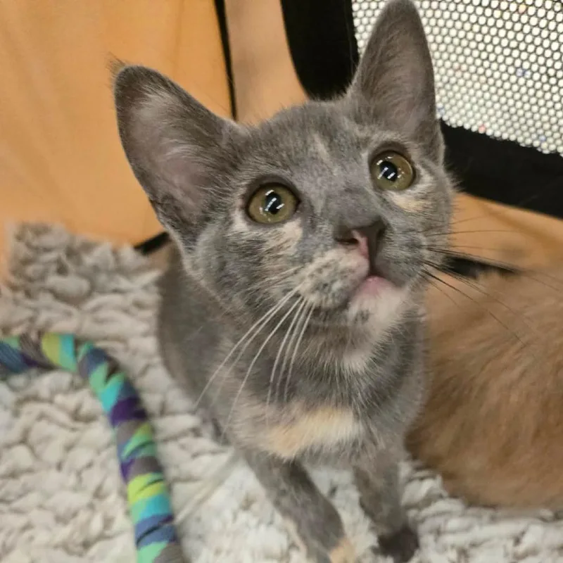 Ruby Rosear thumbnail 2