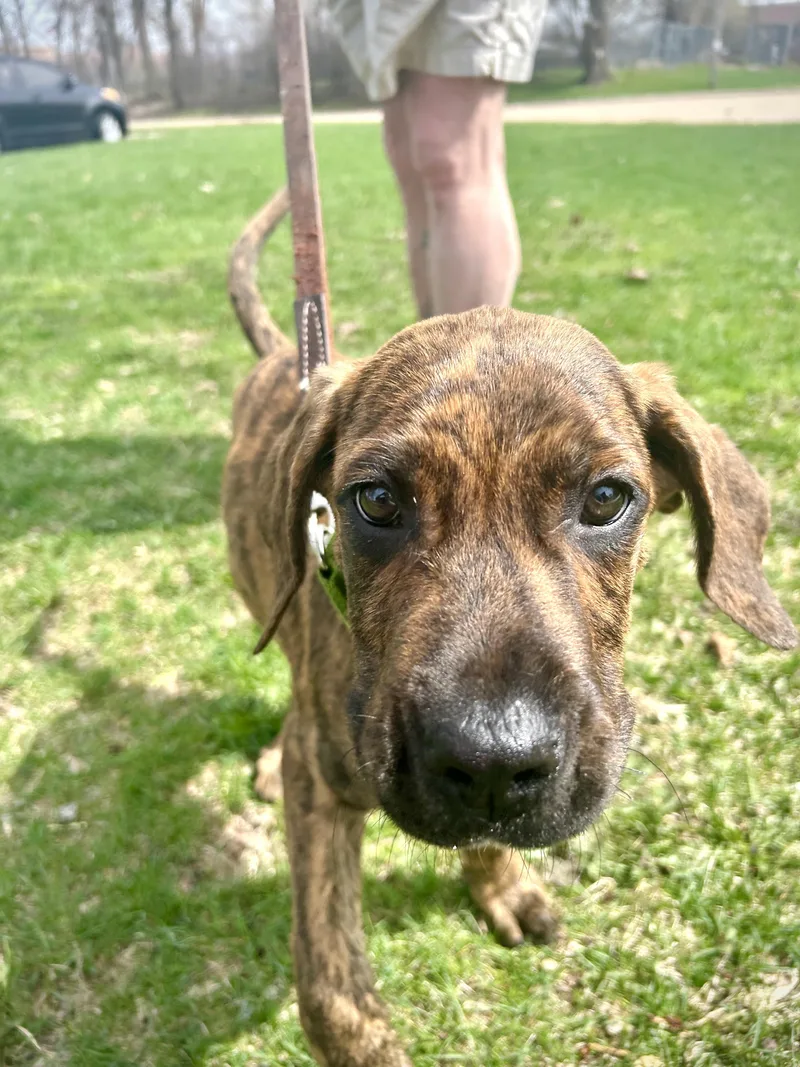 Odiesweet As Can Be! thumbnail 2