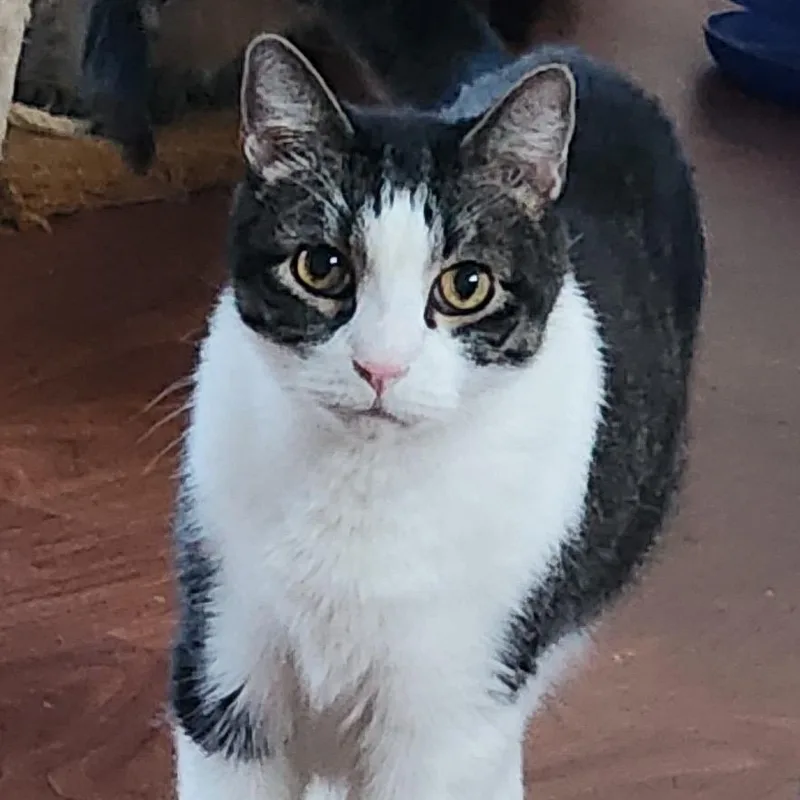 Tucker
