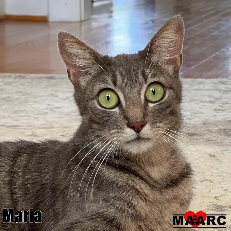 Maria thumbnail 2