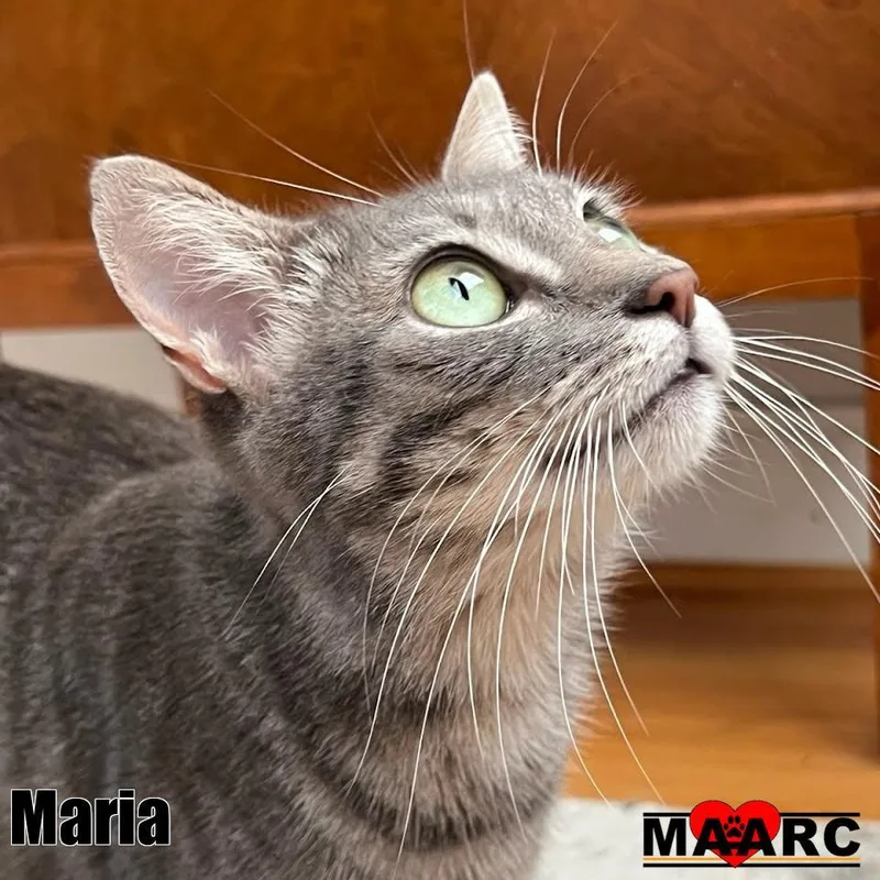Maria thumbnail 3