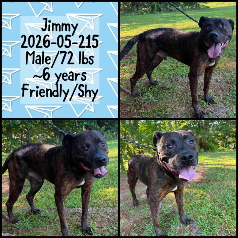 Jimmy thumbnail 2
