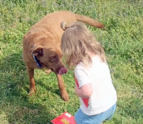 Remi  Happy  thumbnail 2