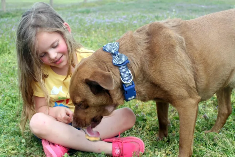 Remi  Happy  thumbnail 4