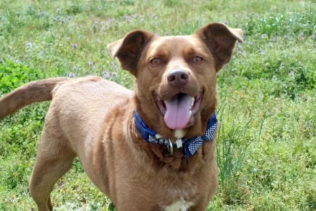 Remi  Happy  thumbnail 5