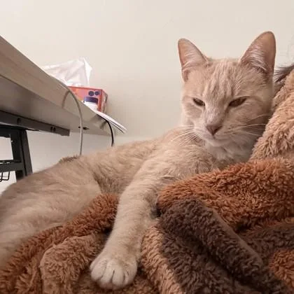 Miss Wanda thumbnail 2