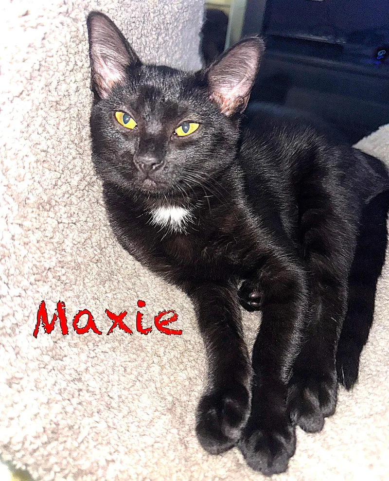 Maxie