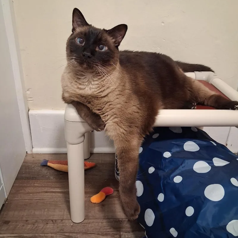 Mel