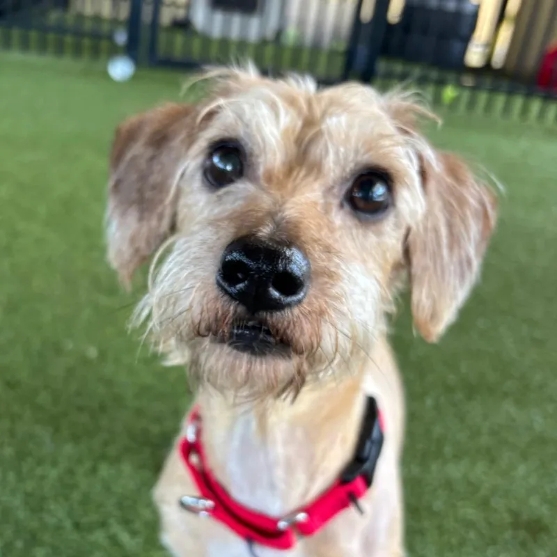 Margarita thumbnail 2