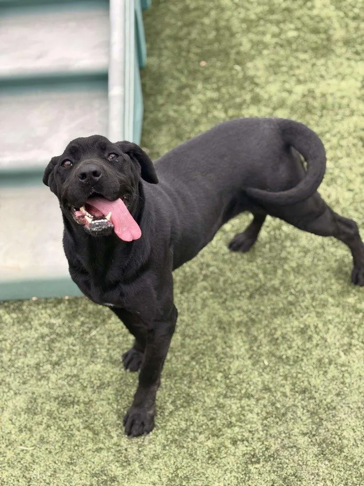 Midnight thumbnail 2