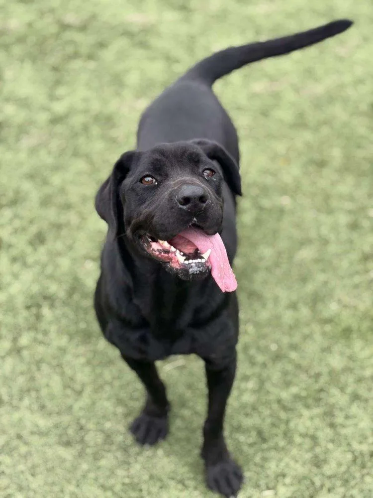 Midnight thumbnail 3