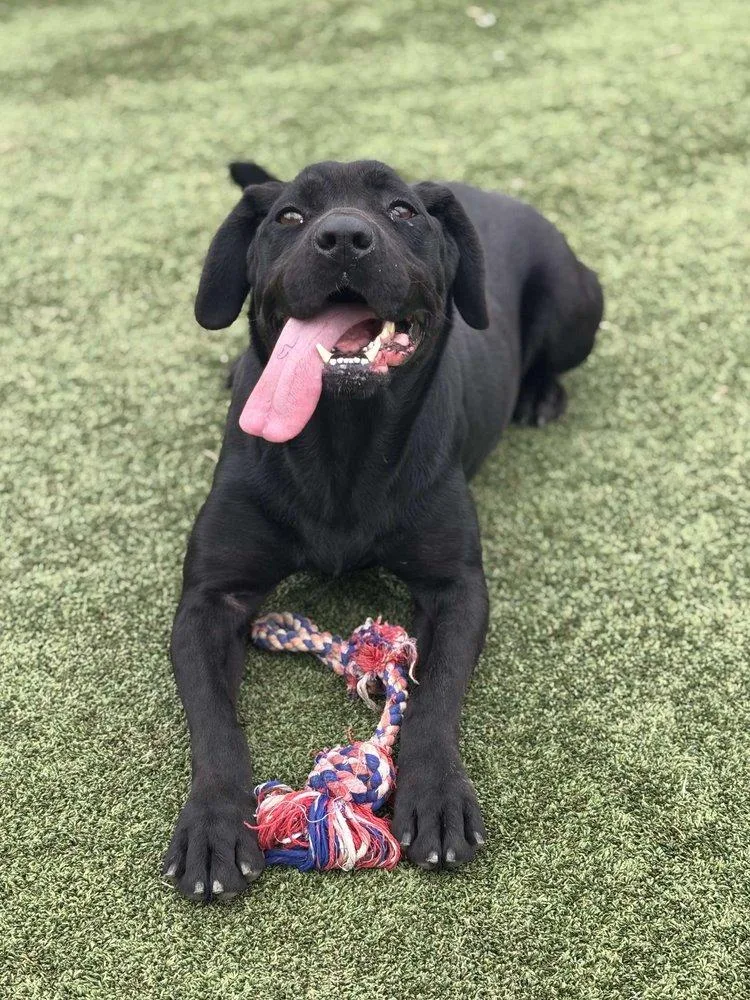 Midnight thumbnail 5