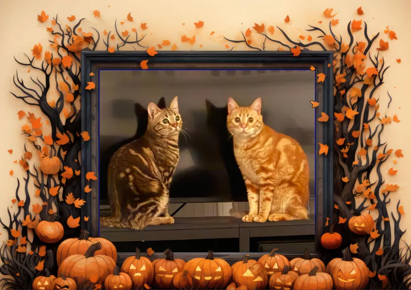 Nacho & Cheese thumbnail 4