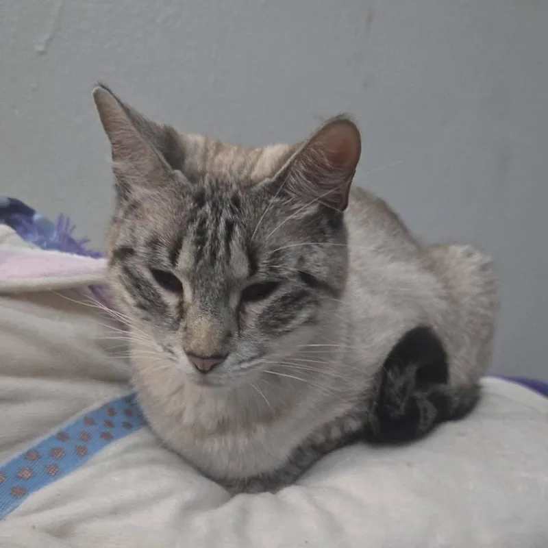 Debbie thumbnail 2