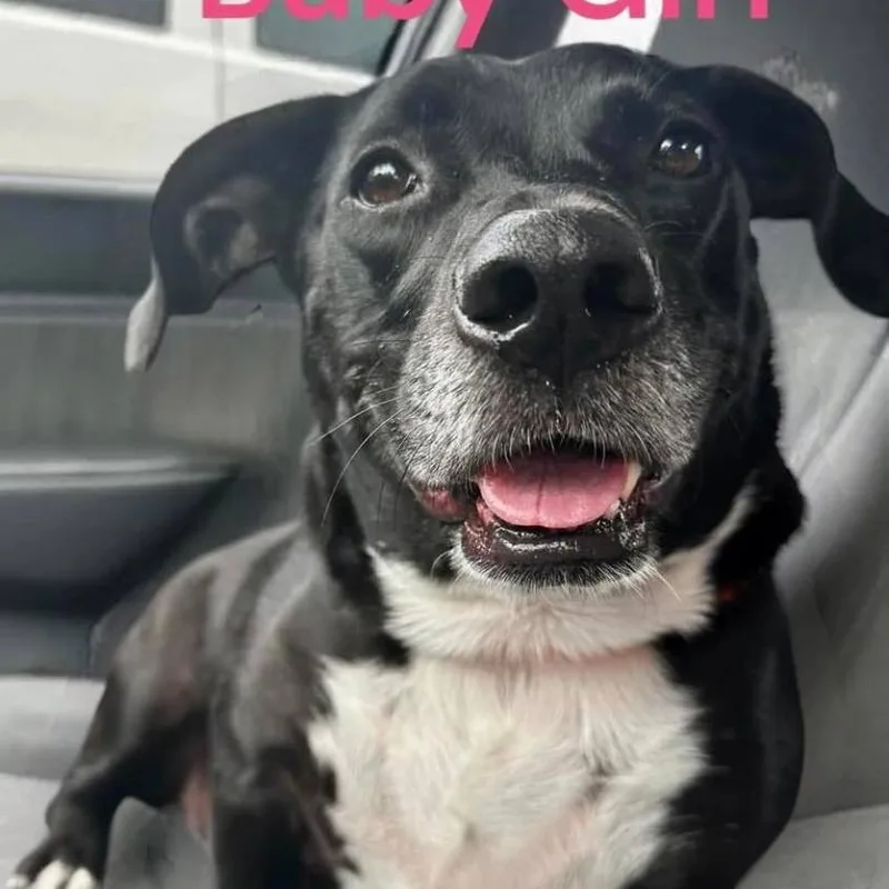 Baby Girl thumbnail 6