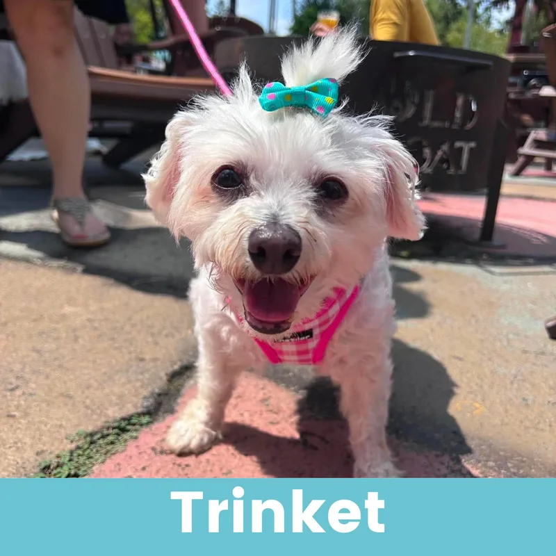 Trinket thumbnail 2