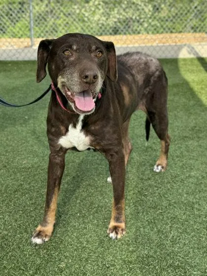 Penelope thumbnail 2